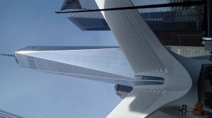 20170430_103323.jpg